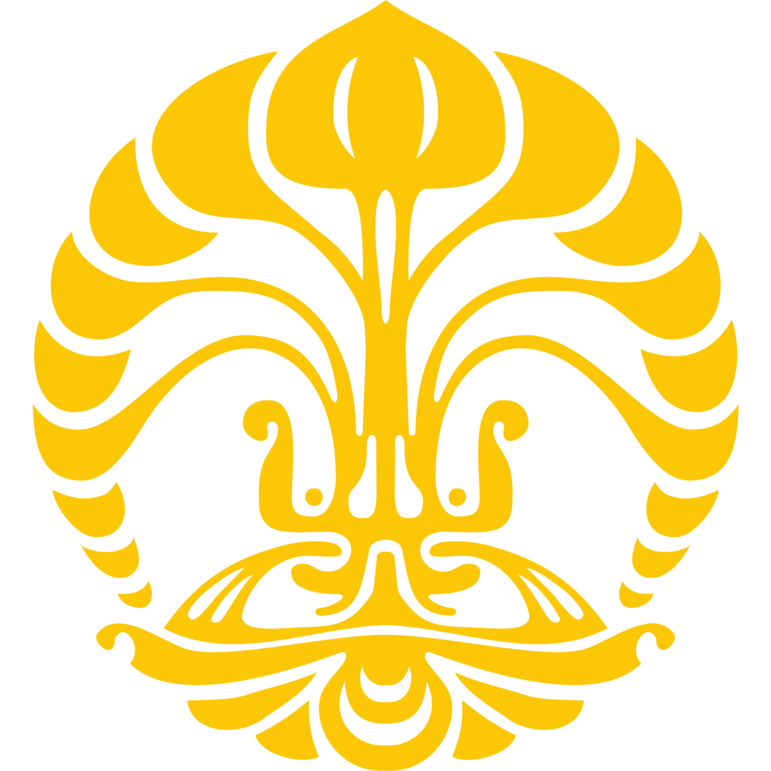 UNIVERSITAS INDONESIA